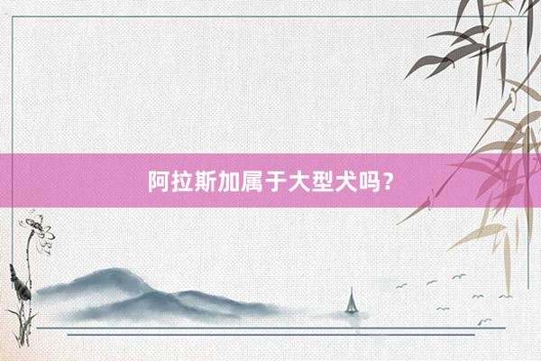 阿拉斯加属于大型犬吗？