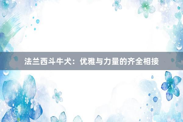 法兰西斗牛犬：优雅与力量的齐全相接